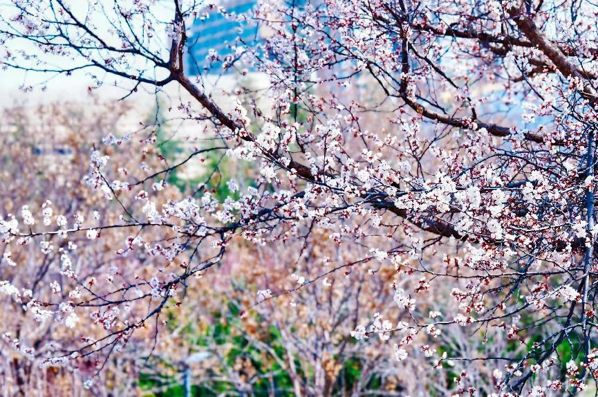mp.weixin.qq.com_1751913970.webp