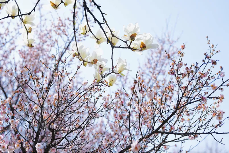 mp.weixin.qq.com_1473760976.webp mp.weixin.qq.com_1473760976.webp
