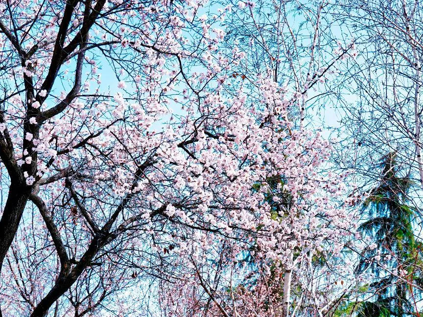 mp.weixin.qq.com_549395593.webp