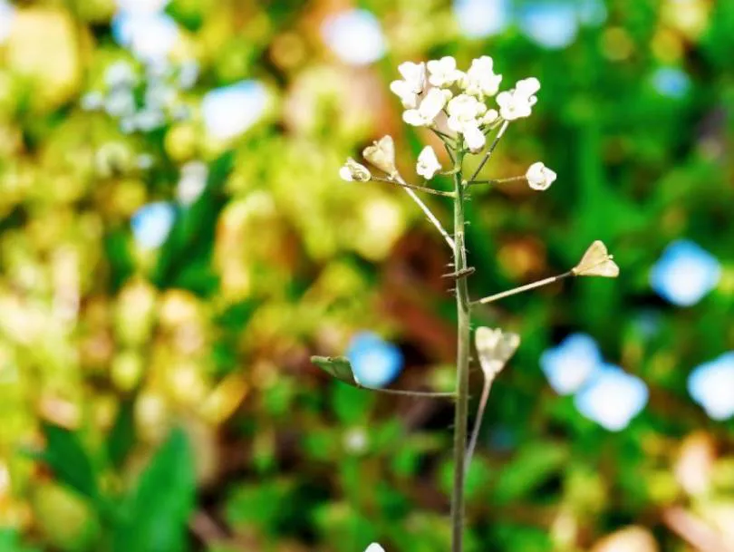 mp.weixin.qq.com_496994726.webp mp.weixin.qq.com_496994726.webp